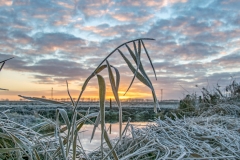 Zaanse Rietveld-6089